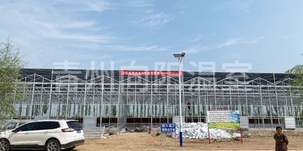 陽光板溫室的陽光板應該怎樣選擇？