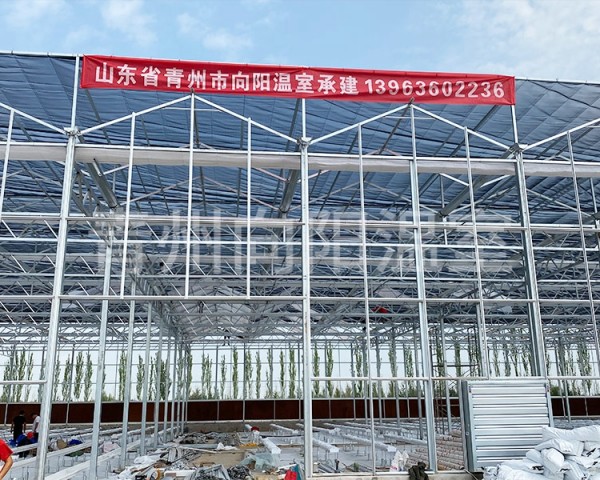 內(nèi)蒙巴彥淖爾市玻璃溫室工地