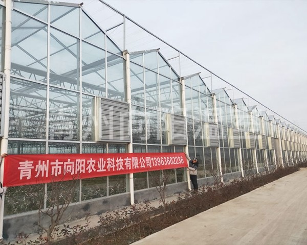 濟(jì)寧微山縣文洛溫室