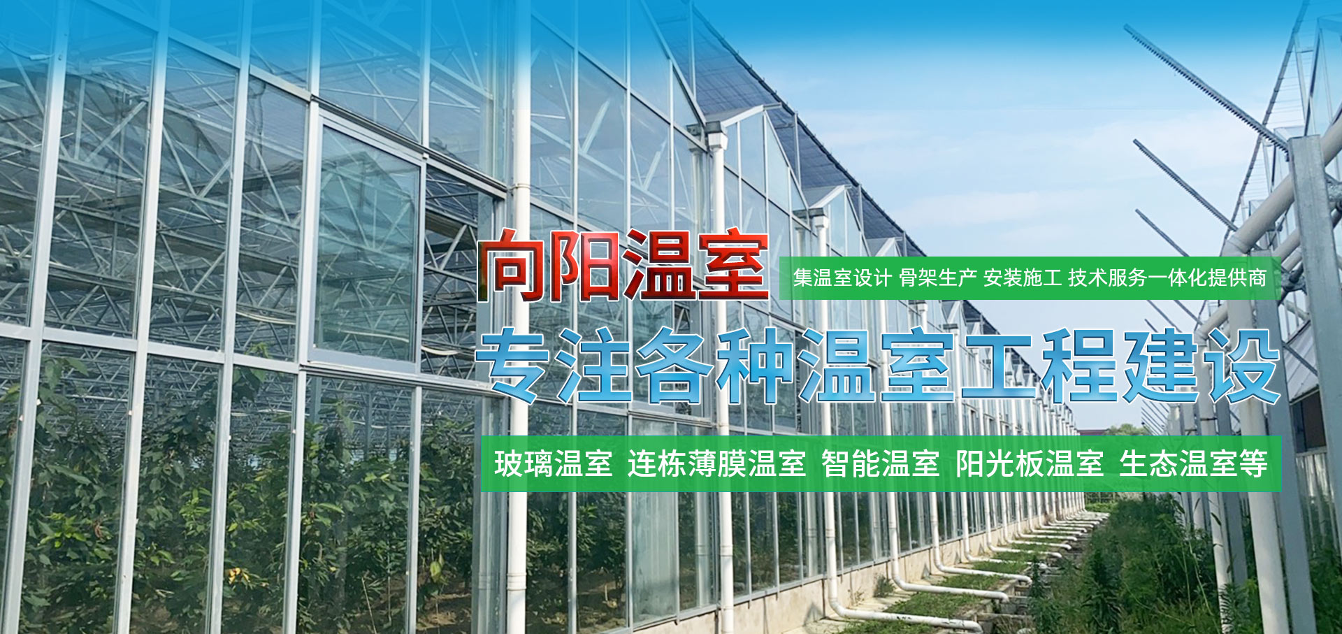 青州市向陽農業科技有限公司